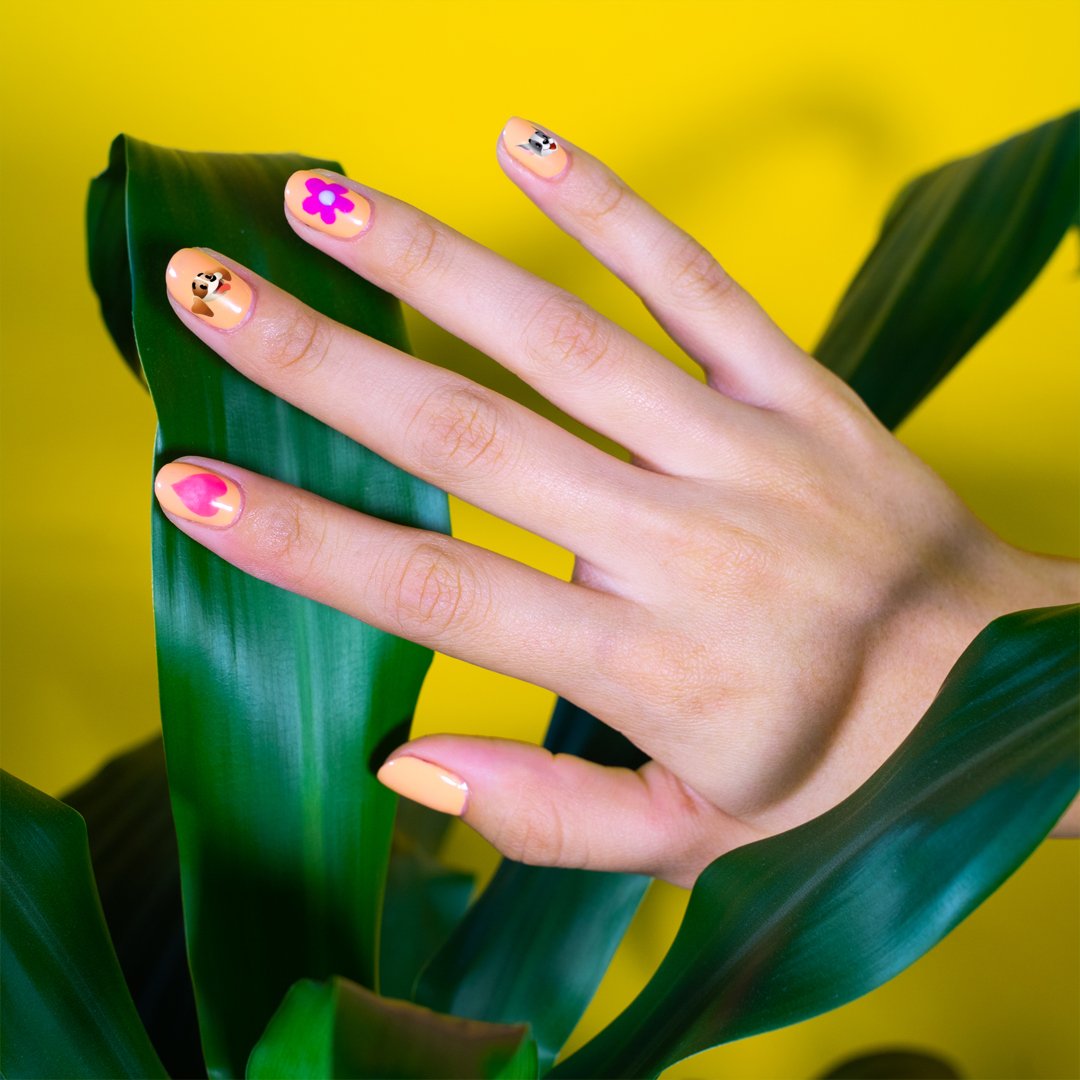 Chummy Chum Chums tweet media