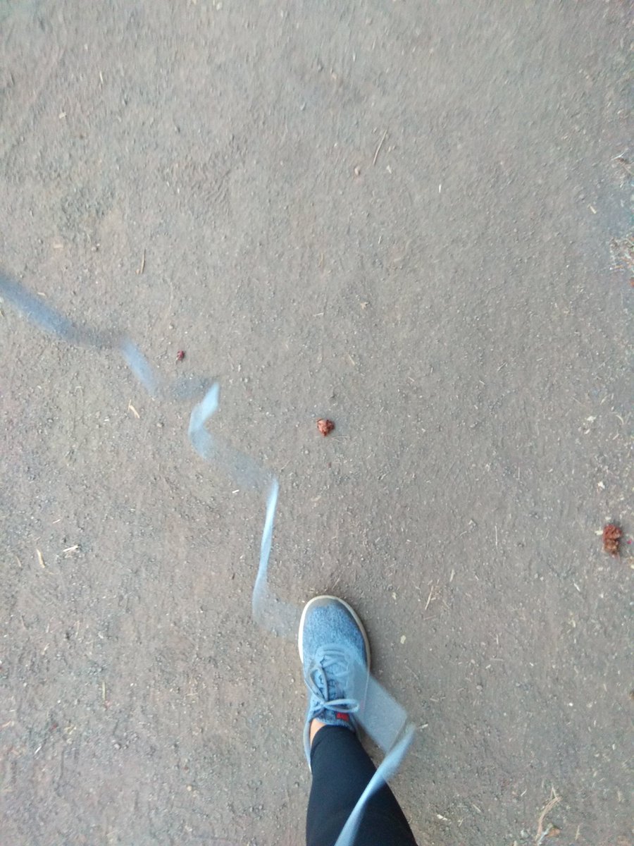 saltyguppy's tweet photo. fuck you asma #fastttt #sonic #xd https://t.co/CJI8Z06nGb
