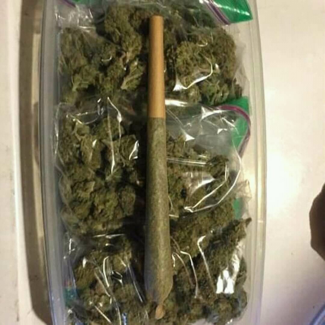 weeddoc420's tweet photo. smoking is the key we got the gas take away that pain,stress,anxiety and fuck cancer. dm me for menu or wickr weeddoc420 for more information #weed #cannabis #weedporn #marijuana #cannabiscommunity #weedstagram #ganja #stoner #cbd #thc #kush #smoke #sativa #cannabisculture https://t.co/ry4dK0pUDh