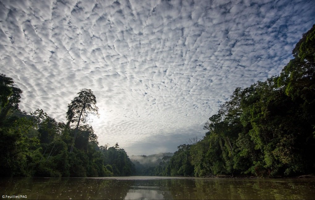 👏 12 países de América Latina y el Caribe firmaron hoy el #AcuerdodeEscazú. 🇦🇬🇦🇷🇧🇷🇨🇷🇪🇨🇬🇹🇬🇾🇲🇽🇵🇦🇵🇪🇱🇨🇺🇾

Toda la región debe unirse a este esfuerzo histórico a favor de la democracia ambiental y la protección de los defensores. bit.ly/2DBwxcZ #UNGA