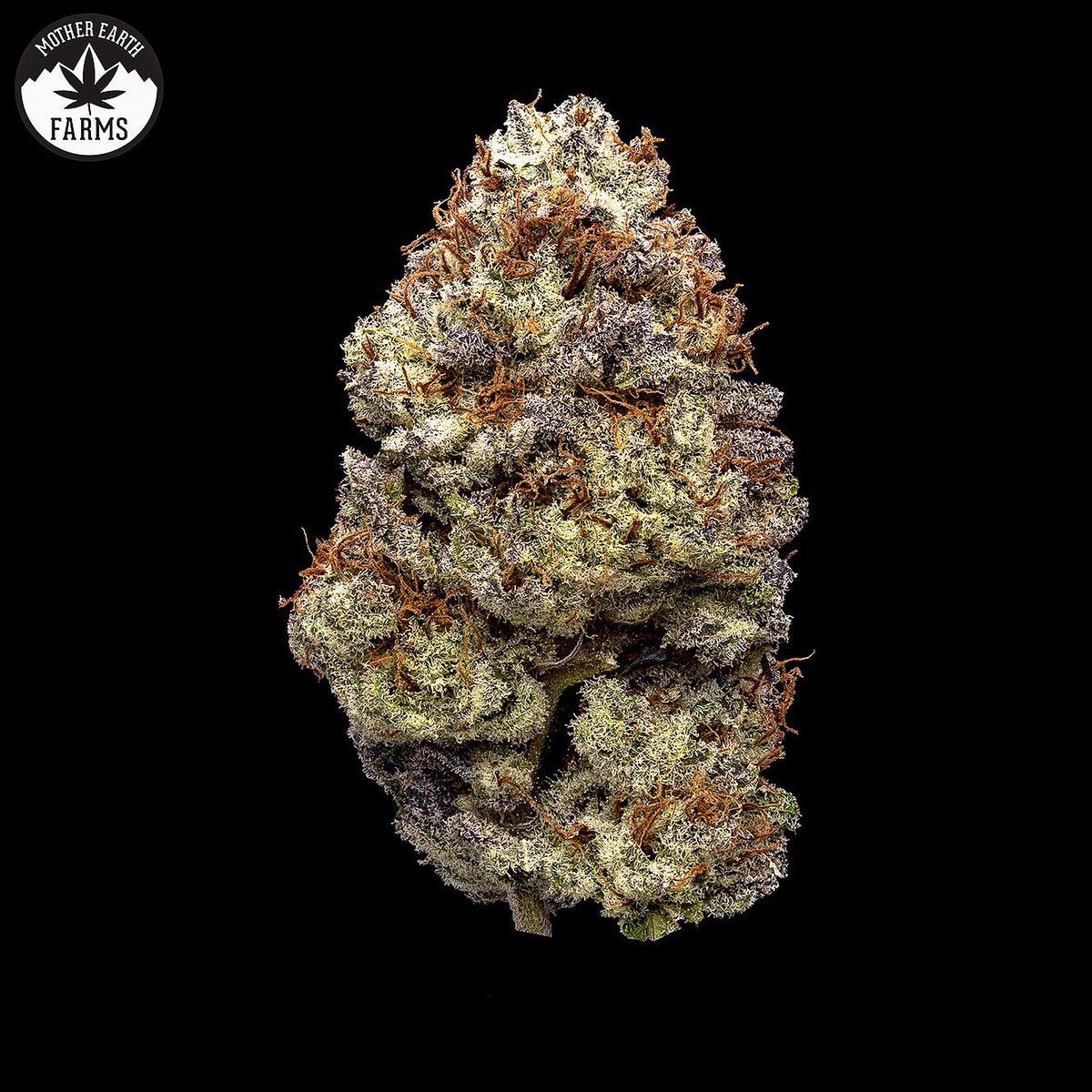 Some #dank, detailed shots from Dankshire 🙏 Can you guess the #strains? 🤗 #kushlife