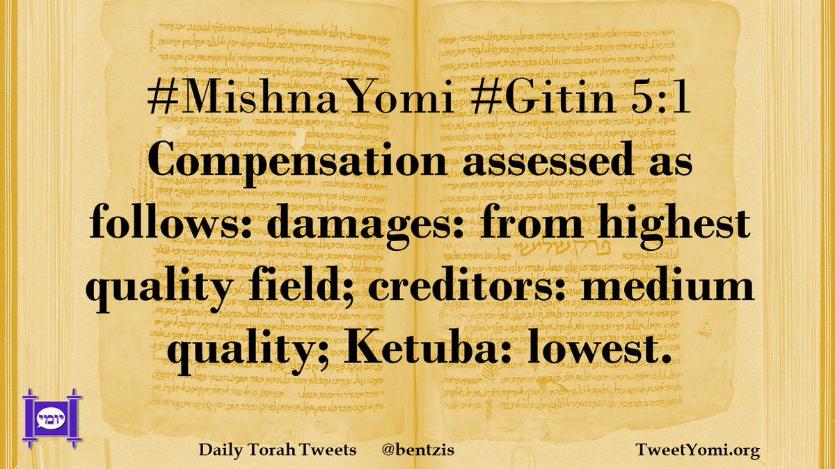 bentzis's tweet photo. #MishnaYomi #Gitin 5:1 Compensation assessed as follows: damages: from highest quality field; creditors: medium quality; Ketuba: lowest. https://t.co/ZTTTqvqtun