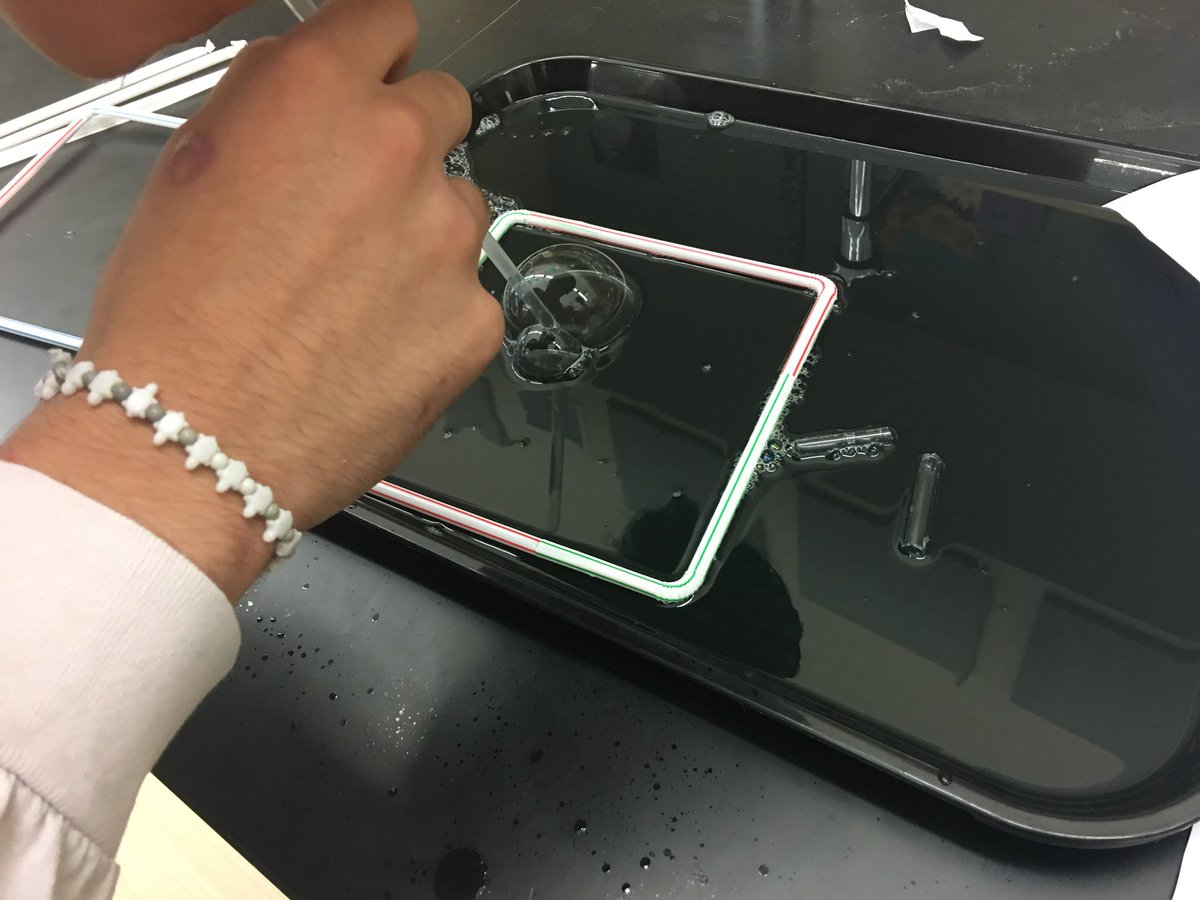 Bubbles! Biology students using bubble models to gain a better understanding of cell membranes #IDEACenterHS #NGSS #Biology