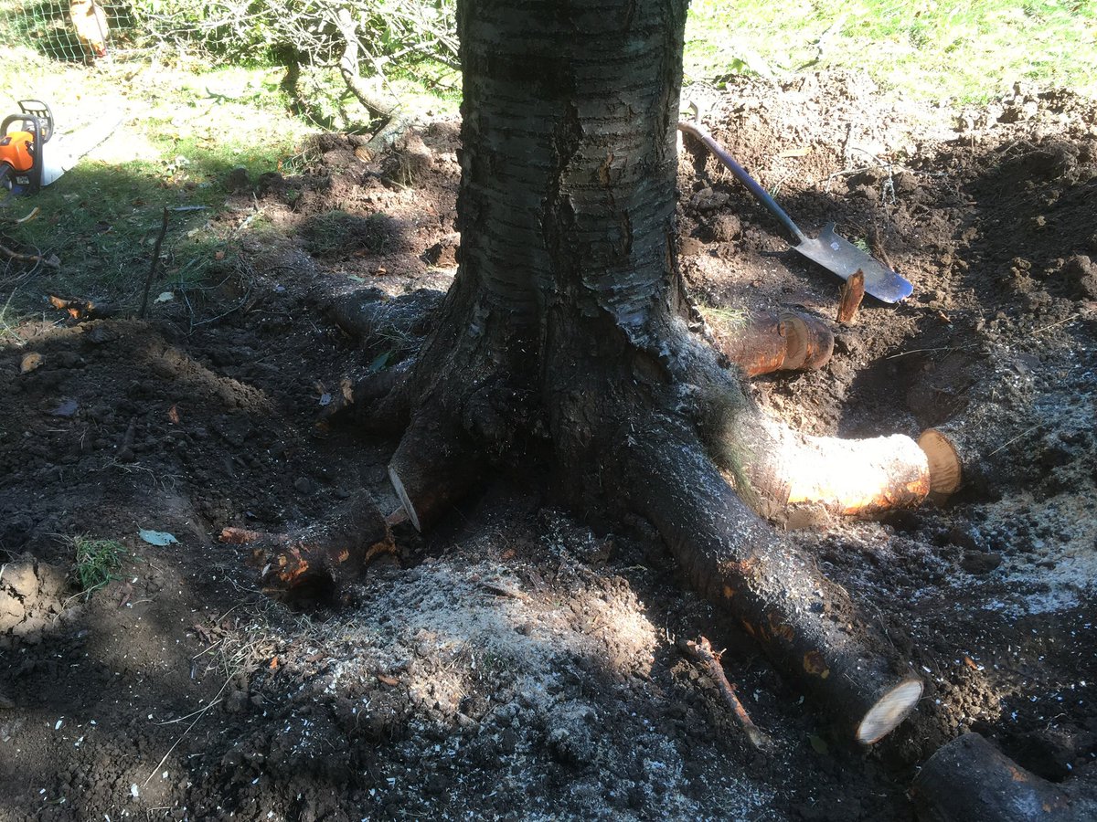 Paul T Sowden tweet media