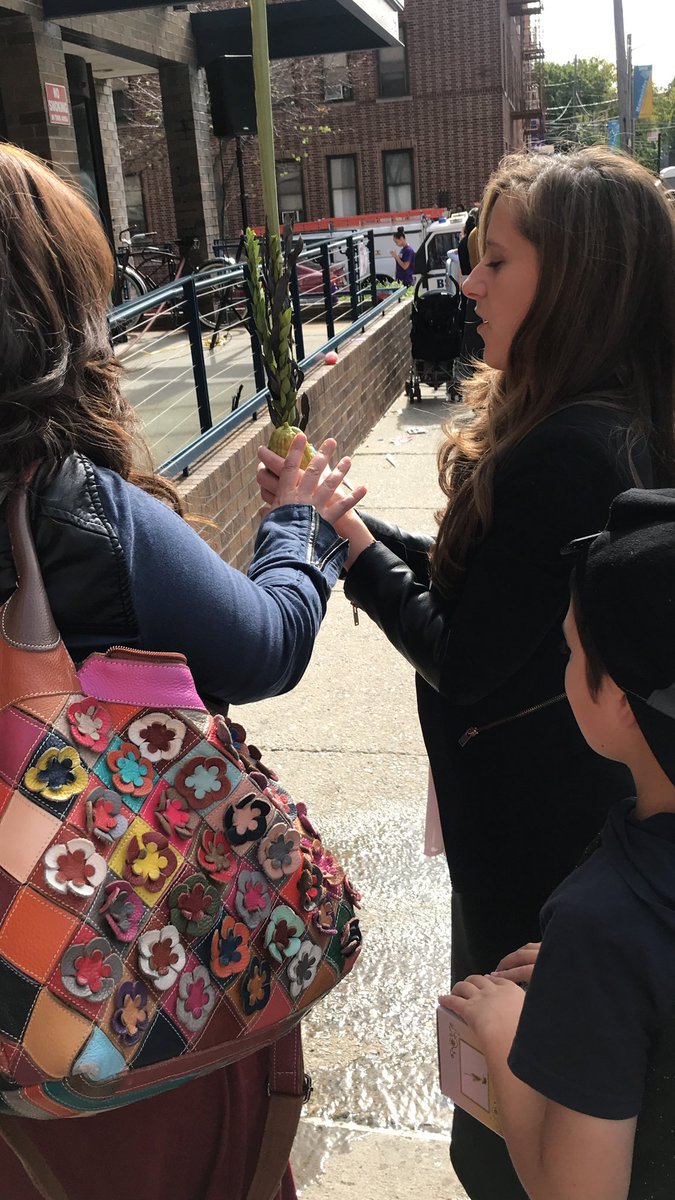 Naomi Levin on Twitter "Shaking the lulav in Borough Park at the