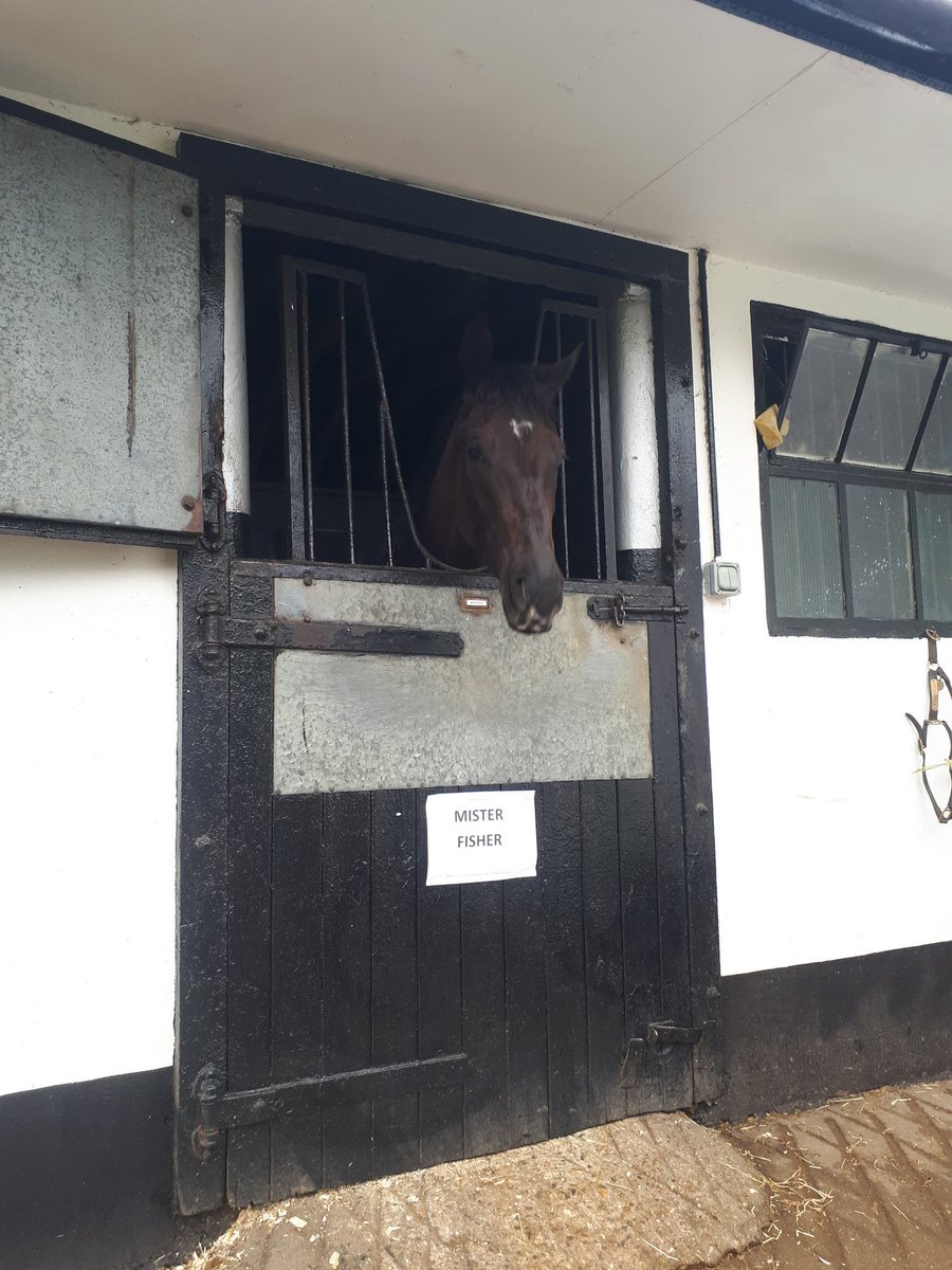 JamesStevens180's tweet image. 2) Mister Fisher - T: Nicky Henderson

📝 Nicky told me this was his 'dark horse to follow' last year. Very sharp sort and has the profile to progress going over hurdles. Expect him to progress well this year. #TrackerThursdays