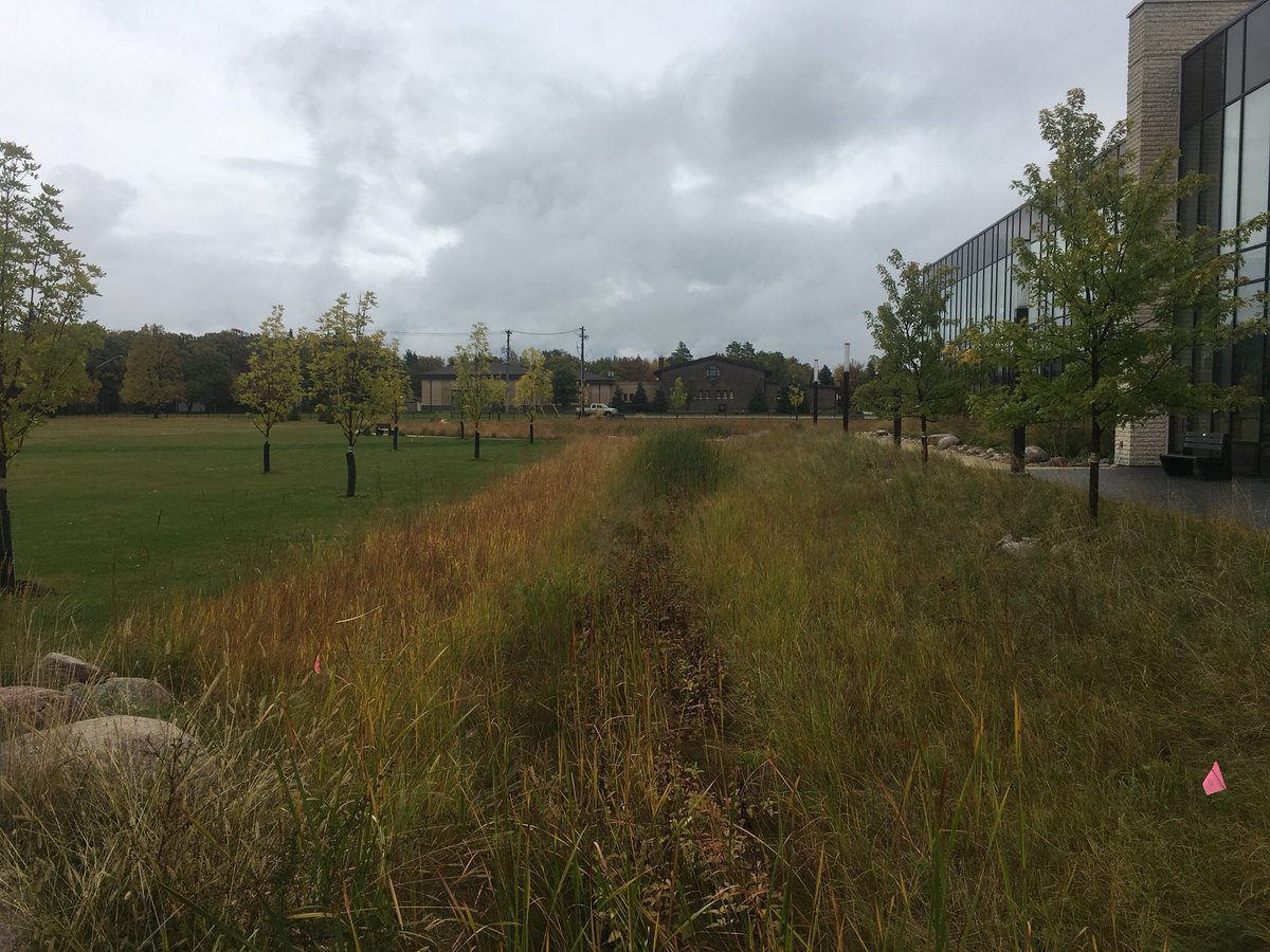 dpederso's tweet photo. A bioswale drains parking lot runoff to this very tiny storm pond that has been retrofitted to include lots of natural vegetation planted below Normal Water Level.  The vegetation eats up nutrients and helps to prevent algae growth #makeitdrain https://t.co/IySYCXAhvK