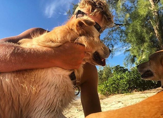 mcxnv's tweet photo. Puppy lovin’ 🐶❤️ https://t.co/tm563gJ4Ig https://t.co/KSt9O2WPhg