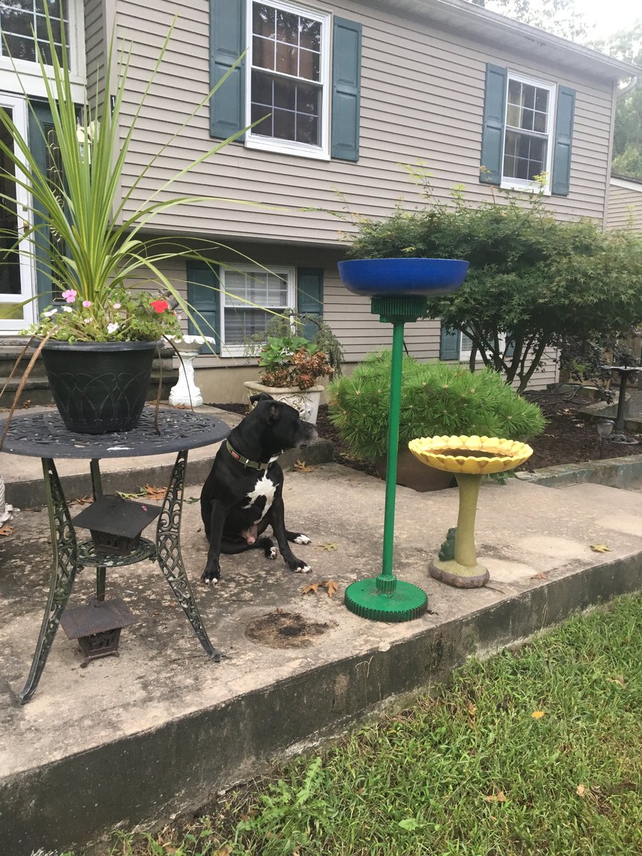 FrankWOODFabricator (@frankwofa) on Twitter photo 