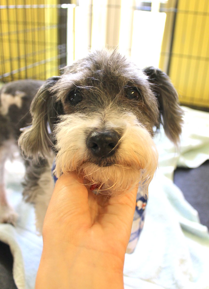 TriCounty Humane tweet media