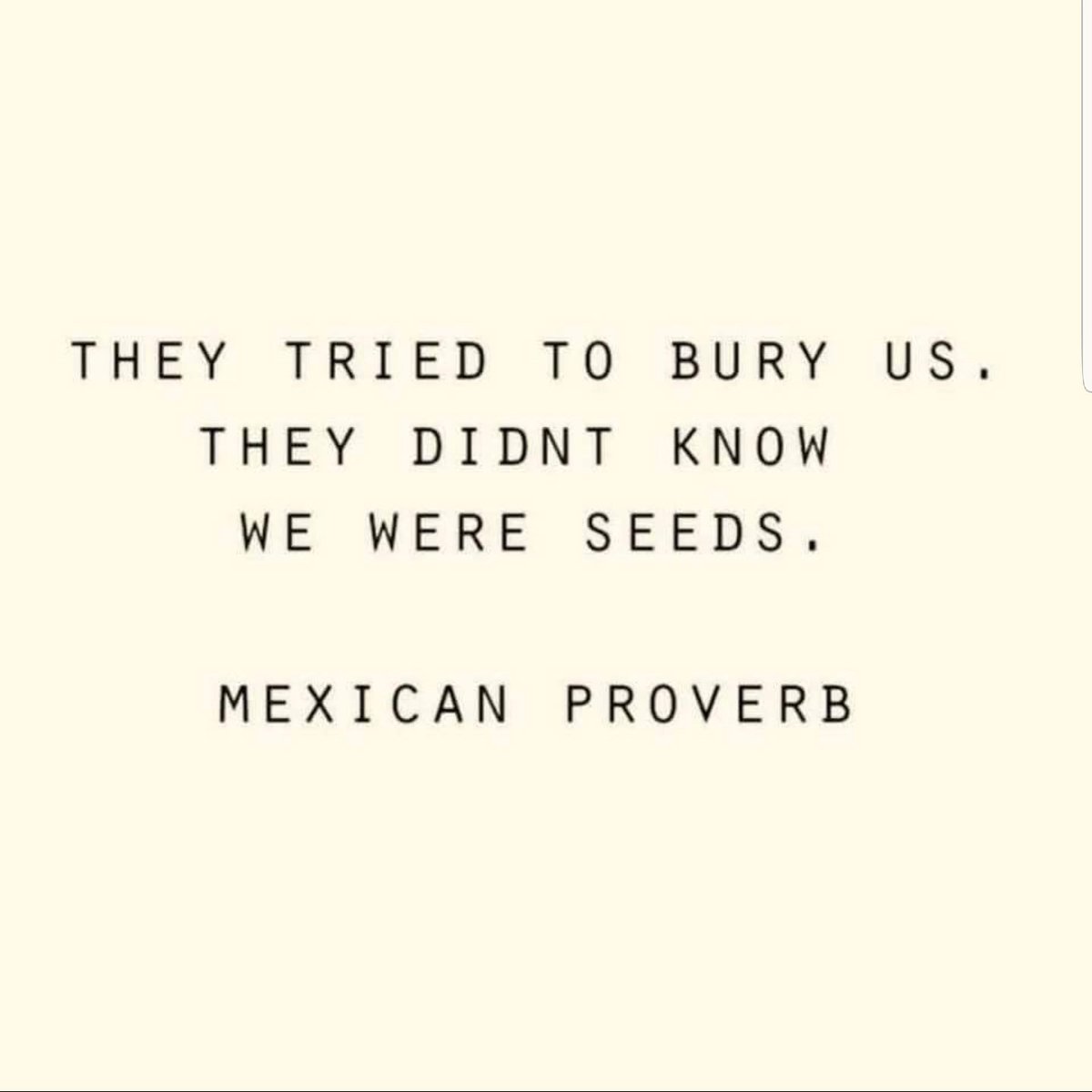 Mauricio X 🪶✊🏾🧡✊🏾🪶 tweet media