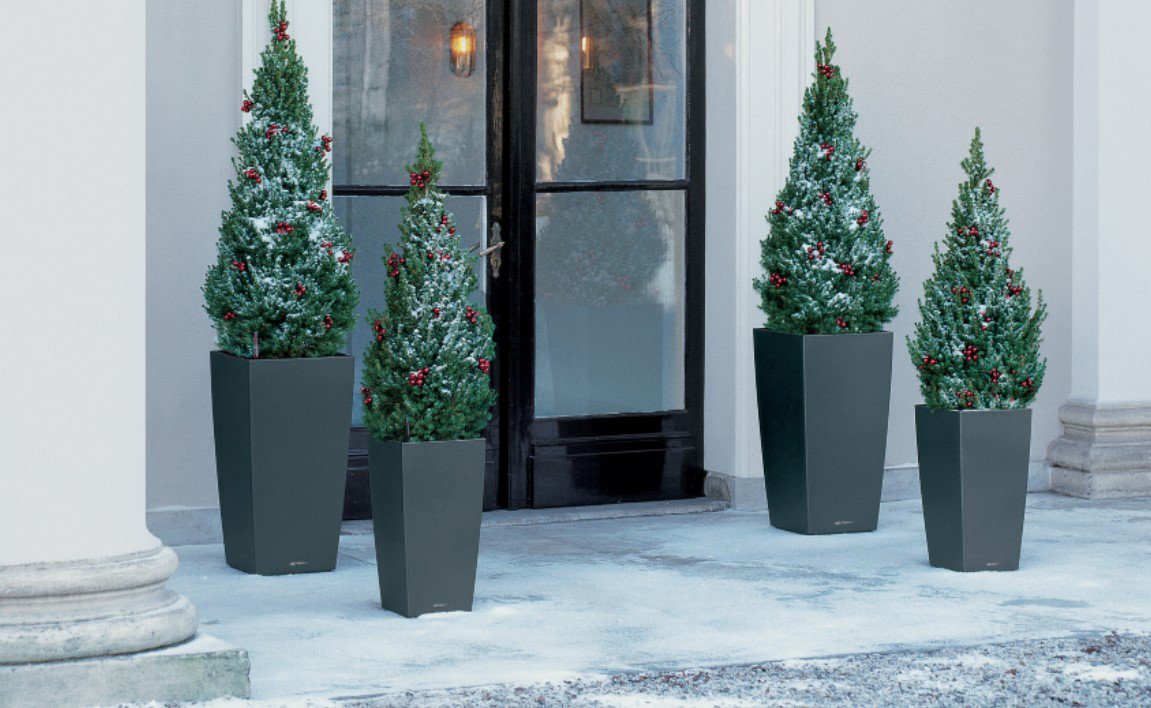 Christmas is coming......contact <a href="/aztecplantsuk/">Aztec Plants</a> for all your corporate Christmas Decoration needs.  ow.ly/Rn2d30m0h15  #christmas  #christmastrees  #corporatechristmas