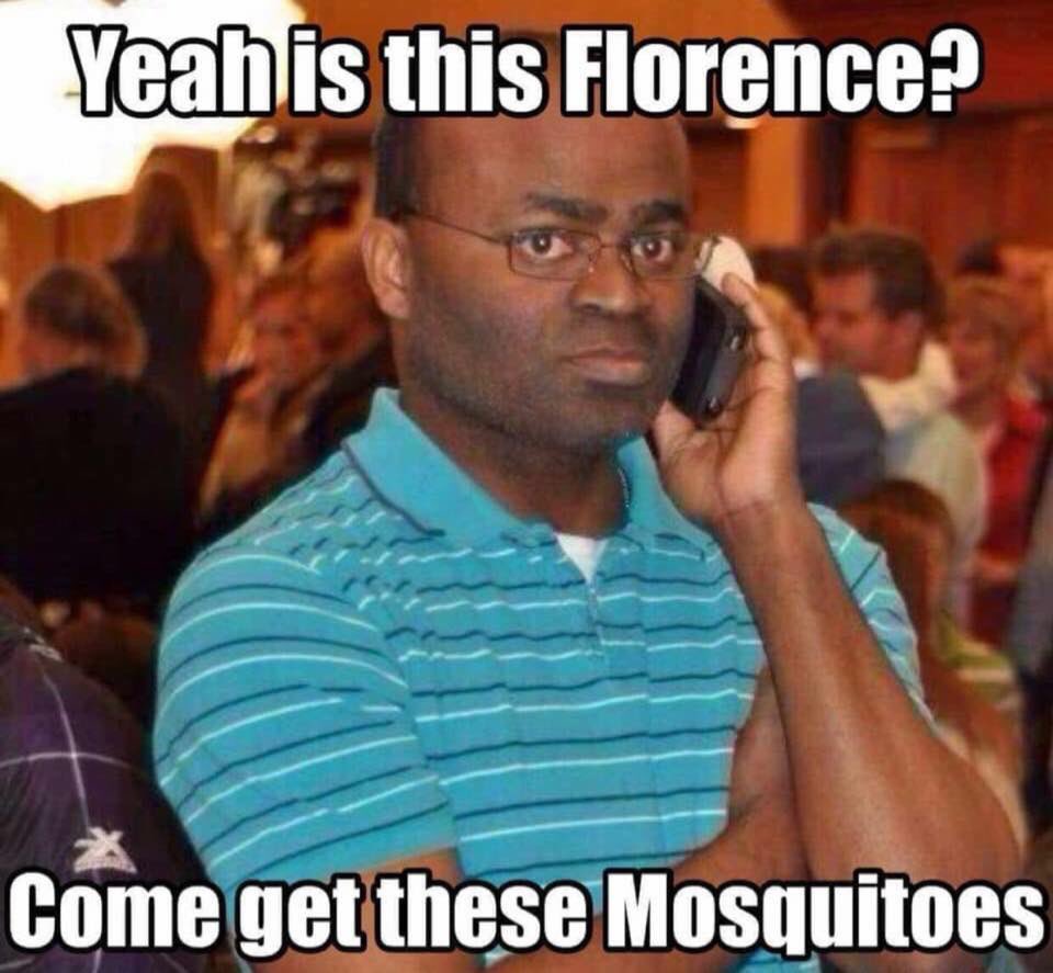 JenniferLantig5's tweet photo. #HurricanceFlorence #Mosquitoes https://t.co/jAduDowz1V