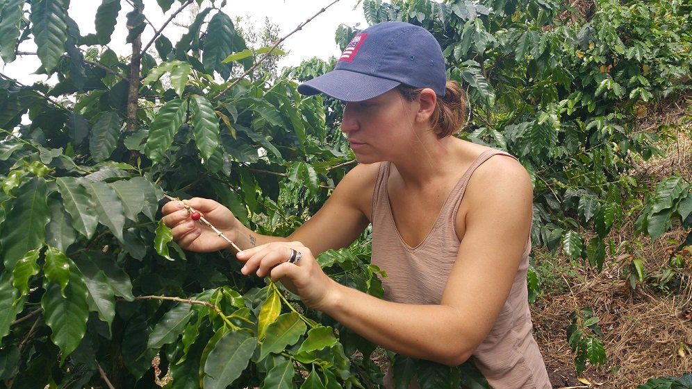 GDP_Center's tweet photo. "Understanding land-use change is central for designing strategies to address sustainability challenges, including climate change, food security, energy transition, & biodiversity loss."
@BUEarth Prof @rach_garr's latest article on land use (#_LULI):
👉 https://t.co/GJjK9uZx1F https://t.co/uXWDEHnNDO