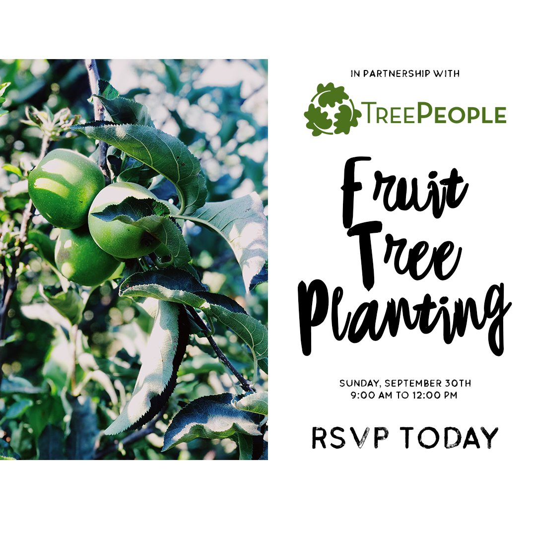 CSUINCLA's tweet image. Join us &amp;amp; our partners for our first tree Planting at the Paul Robeson Community Wellness Center. 

Koreatown Youth &amp;amp; Community Center will be joining us, giving away free shade trees to participants. 

Register today!

#volunteerwednesday #csuinc #prcwc #greenliving #health