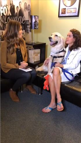 Fox5Max's tweet photo. ICYMI: @KatieMuseFOX5 chatted with Leigh and me on Facebook live. Watch here: https://t.co/hnfLcZ3LoR #OperationMax https://t.co/rTXpjaLaAW
