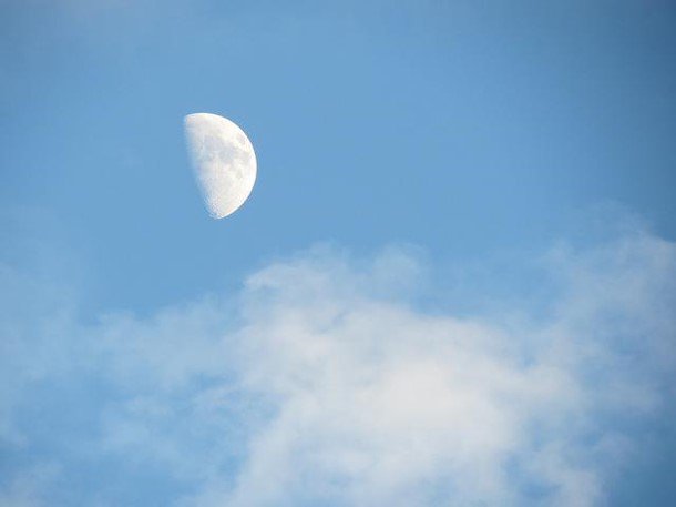 GaDOEScience's tweet photo. 6th grade teachers: tomorrow is #phenomenalfriday! For S6E2: How can we see the moon during the day? How does this happen? Great phenomenon! #gascience https://t.co/D97s0BRKfO