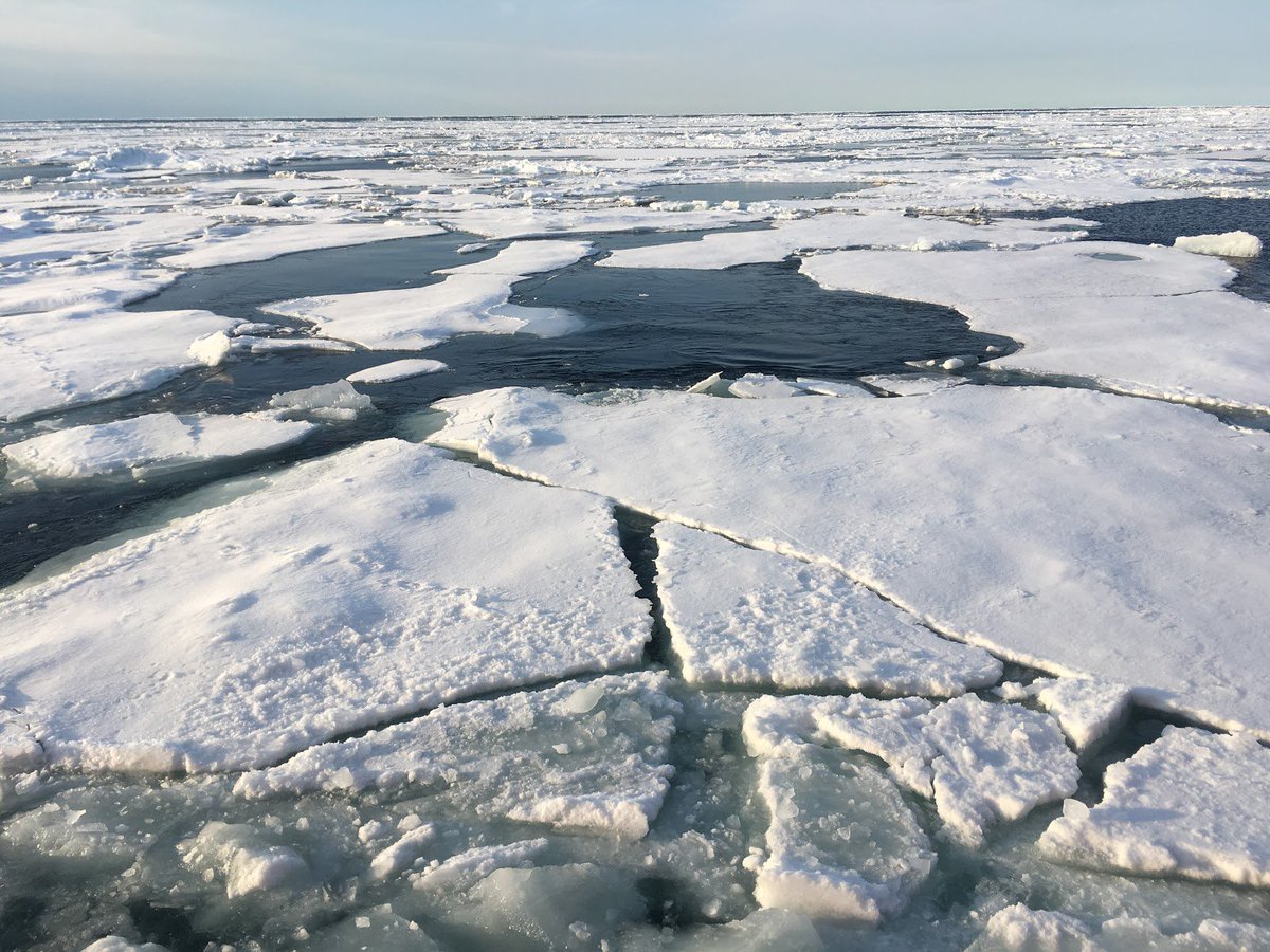 CIRESnews's tweet image. #Arctic #seaice reached its min extent for 2018 at 4.59 mil sq
kilometers on September 19 and 23, and tied with 2008 and 2010 as the 6th lowest in the nearly 40-yr satellite record. @NASA #cuboulder @CIRESnews #seaice #seaiceminimum 
bit.ly/2P1cuWg