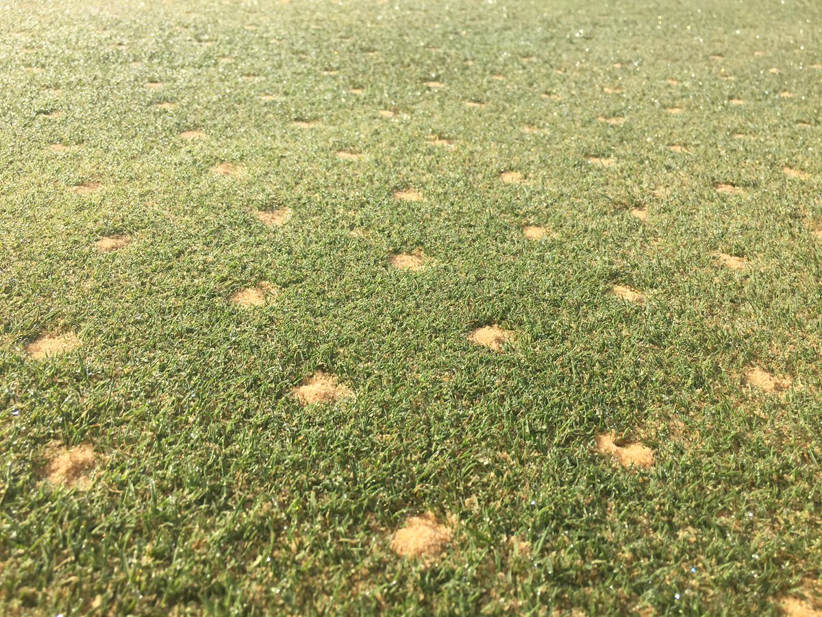 Shoreline_Sand's tweet photo. Pro 3050 kiln-dried topdressing sand sitting pretty @ProAngleOhio. Dave Miloshoff and his crew doing a great job with Fall aerification @WhiteHawkCC. #ShorelineDelivers #TopdressingSand https://t.co/XhIibDOFHM