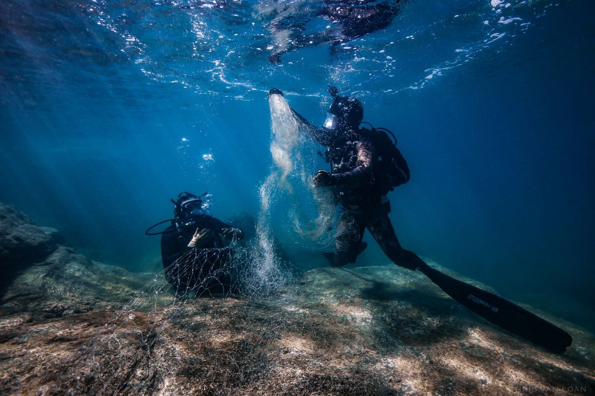 NatGeoMagTR's tweet photo. Kaliforniya Körfezi’nde, dalgıçlar kaplumbağaları, fokları ve diğer birçok hayvanı öldüren ağları topluyor. Bu ağları, karaborsada satmak üzere nadir balık parçaları yakalamayı uman kaçak avcılar bırakıyor. [Fotoğraf: Chris Van Loan] https://t.co/6D9er2JGx3