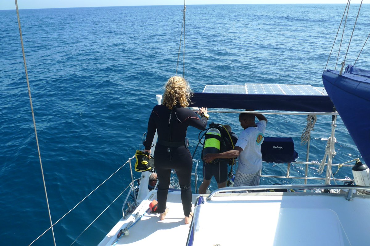 GillBraulik's tweet photo. 4 days, 8 dives, 3 flights, 8 hrs of driving,  -  4 acoustic recorders successfully retrieved from the #Tanzanian coast.  Plenty of cuts, bruises and scrapes. Now home to the kids and time for a day off! #seasensors @Code4Africa @MwambaoCCN @_SMRU_  @jam_machund @womeninmmsci https://t.co/4vKpZE4R6d