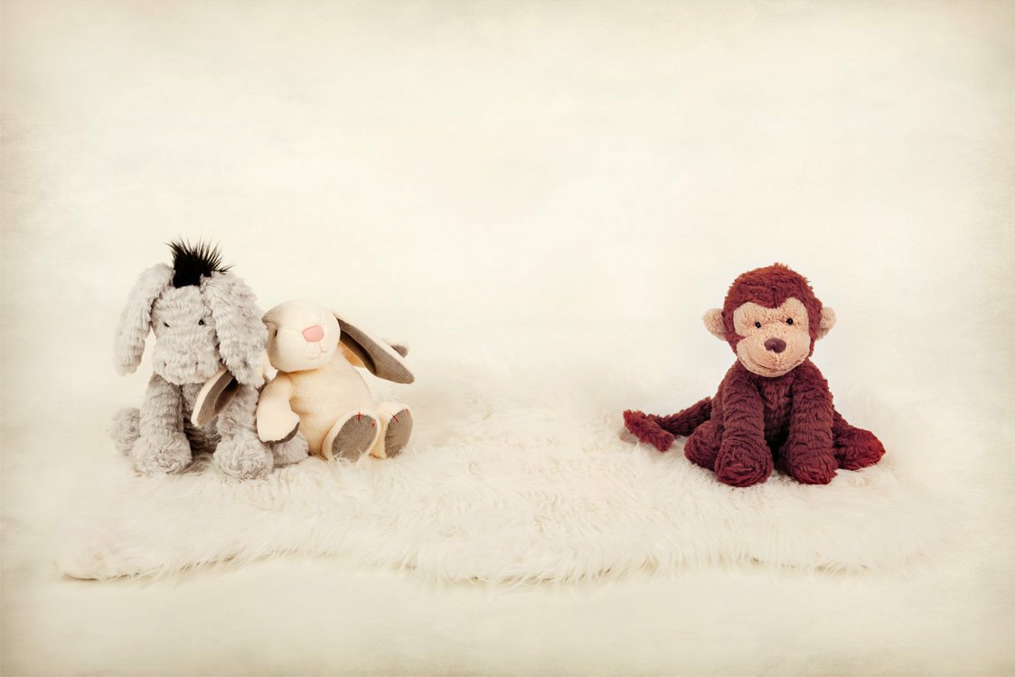 vashmanimages's tweet photo. Excited to share the latest addition to my shop: Digital backdrop, teddies on white sheepskin rug and grey/white background https://t.co/ACTu8MCx93 #etsy #photography #white #digitalbackdrop #photographybackdrop #backdropbaby #digitalbackground https://t.co/ACTu8MCx93 https://t.co/gWDfv8TBkw