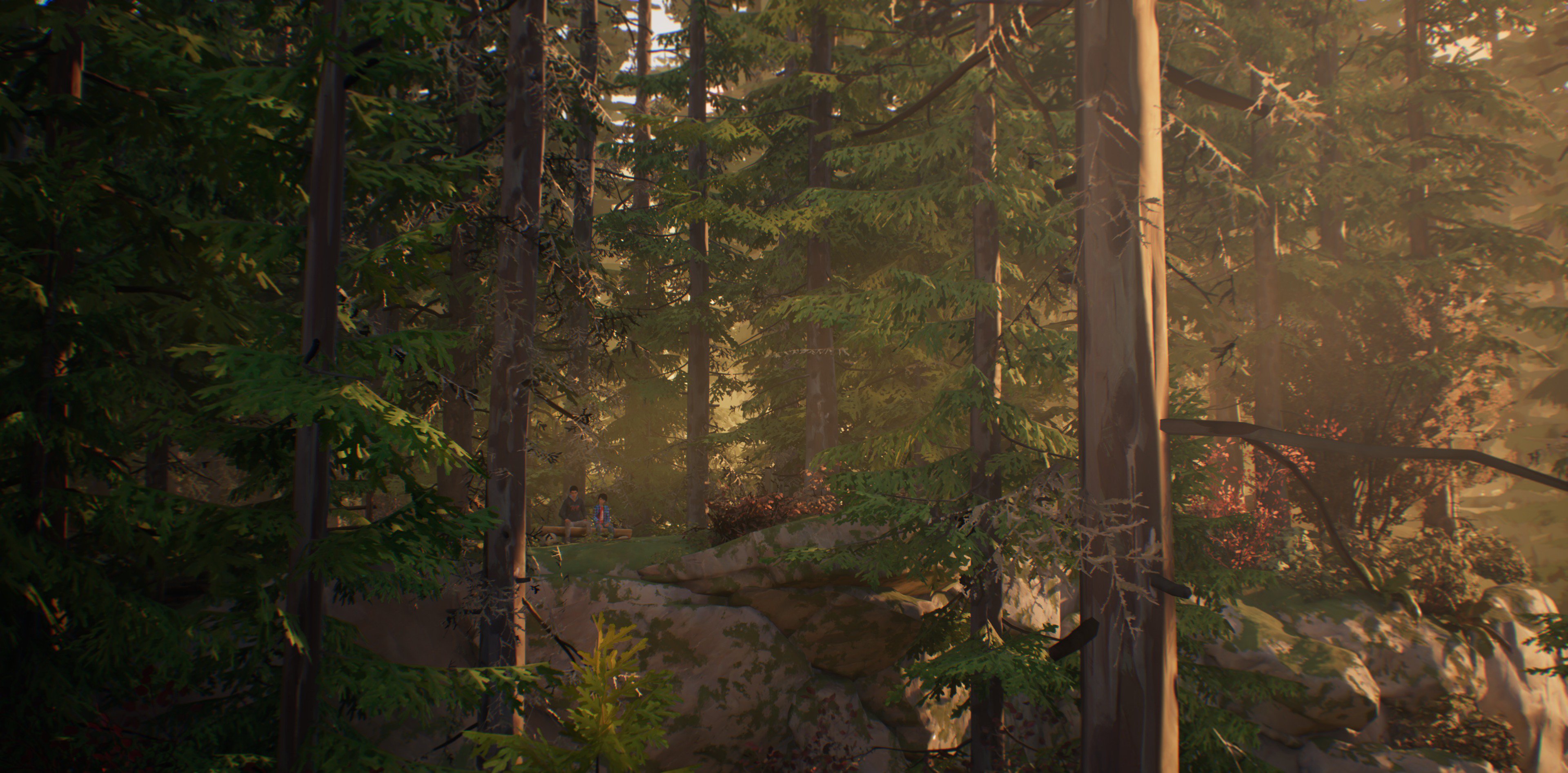 Life is Strange 2 лес