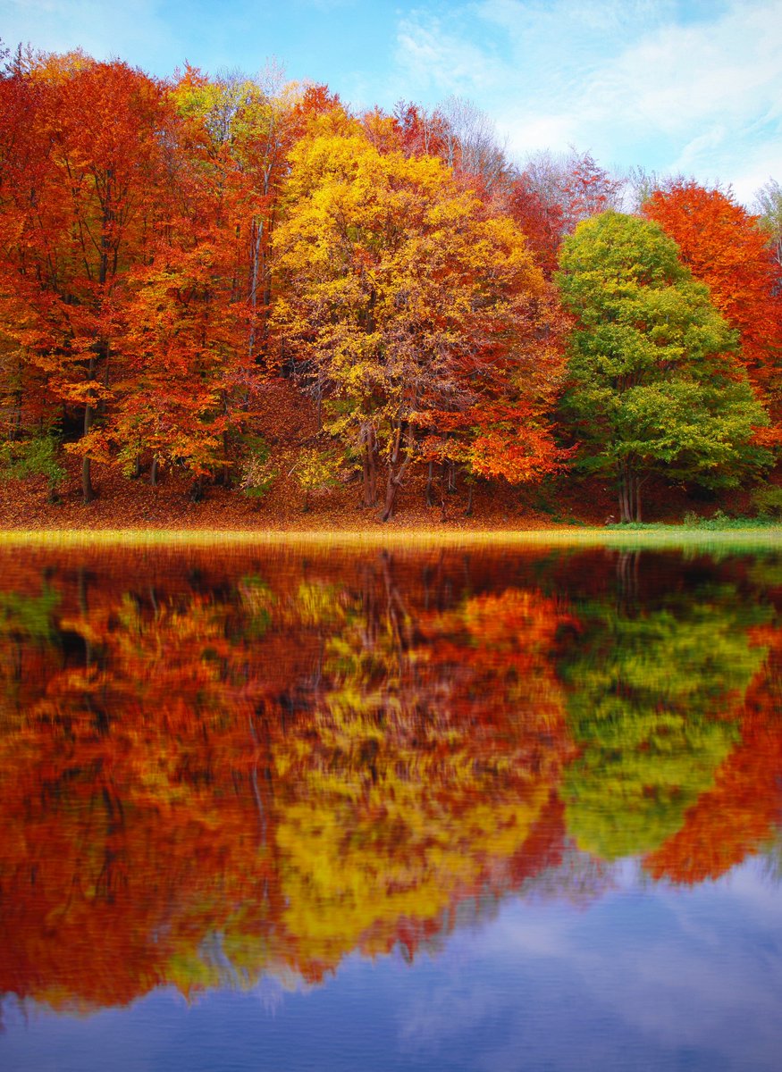 TheStrippers2's tweet photo. Fall colours are inspiring! When we help you choose a stain or paint colour, the sky's the limit!

#thestrippers427 #furniturerefinishing #furniturerepair #stainingfurniture #paintedfurniture #vintagefurniture #makeitnewagain #kwawesome #bitsandpieces https://t.co/PQQrntCWkM