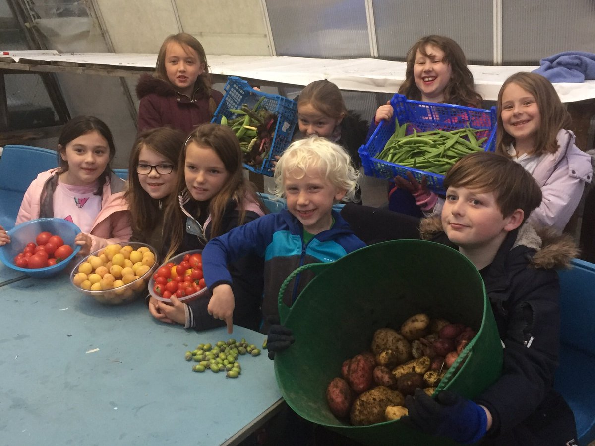 ForresinBloom's tweet photo. Our Wee FIBbees showing off their harvest. https://t.co/jdZdTbYrmq