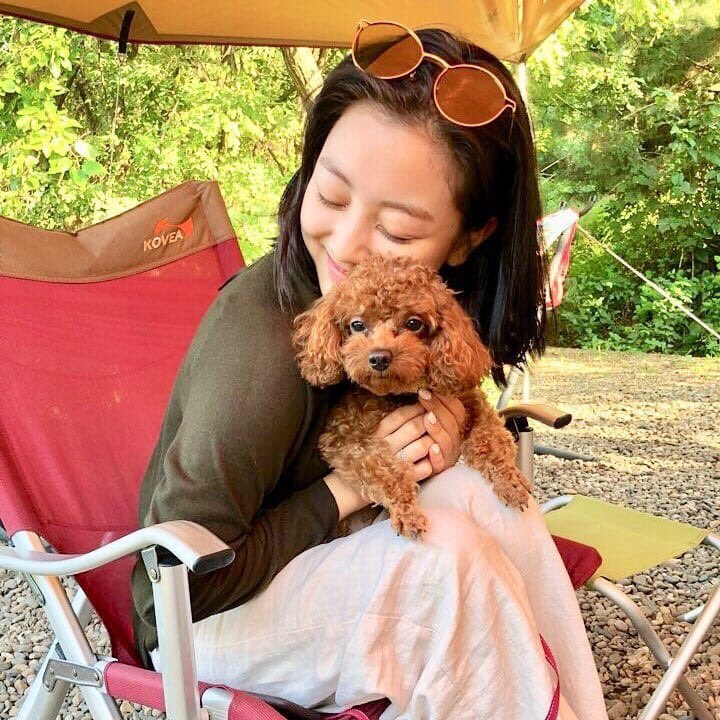 Twice 和訳 情報 A Twitter