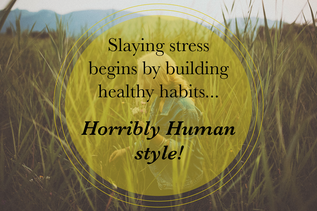 HorriblyHuman's tweet photo. The #HHChallenge is coming on October 1st! We'll #SlayStress together y'all! ๐ช๐ผ Follow on Insta @HorriblyHuman https://t.co/w9gOlHq2Pq