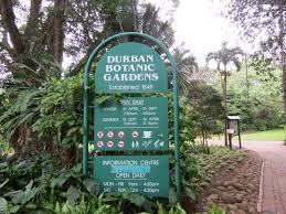 RefiloeShalang's tweet photo. Durban Botanic Gardens support the gardens key strategic areas in biodiversity, culture, education, heritage, horticulture, people, plants and research. So, come to Durban Botanic gardens as a place of excellence.#eng2604 https://t.co/CGRQHinNEp