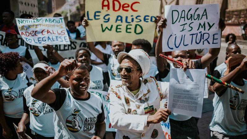 420's tweet photo. Let’s cultivate laws for a cannabis industry centred on uplifting the rural poor https://t.co/yUIDtScMm7 via @mailandguardian #SouthAfrica #SouthAfricanfarmers #farming #Jobs #economics #DaggaRuling https://t.co/fwhqlH7Ov1