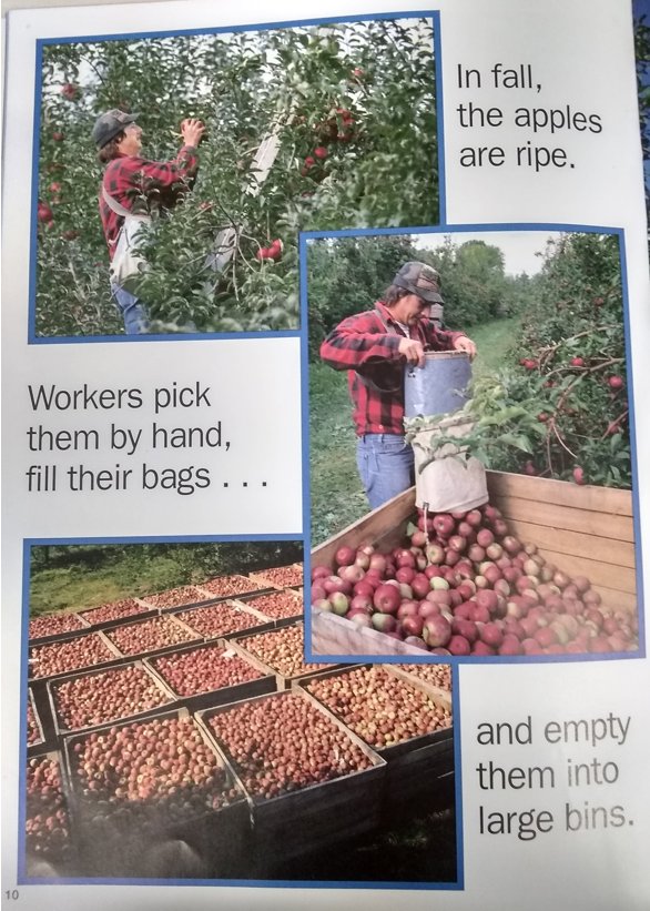 Autumn is apple time. (KT1246 An Apple a Day medialibrary.btboces.org ) #btsls <a href="/Kgarcia435/">Kristina Miller</a>