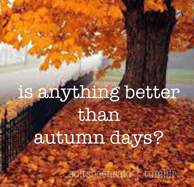LibertyTitle_MN's tweet photo. Autumn has got to be the best season in Minnesota!
#autumn #fall #seasons #nestathome https://t.co/d5sLfEMfF9