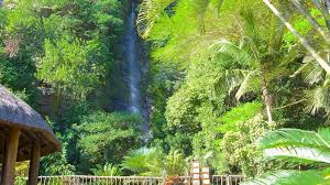 RefiloeShalang's tweet photo. Umgeni River Bird Park is a quite and refreshing bird park with lots of fresh air. It has a good landscaping, education about nature and the birds. Dont miss out. #eng2604 https://t.co/llQvu8oezf