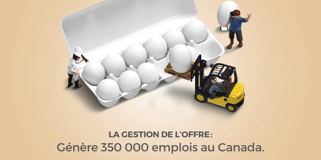 Les productions sous gestion de l’offre au Canada génèrent 350 000 emplois, contribuent à hauteur de 29,6 milliards $ au PIB et entraînent des retombées fiscales de 6,9 milliards $. Protégeons les emplois d’ici. #ALENA #gestiondeloffre #polqc #polcan