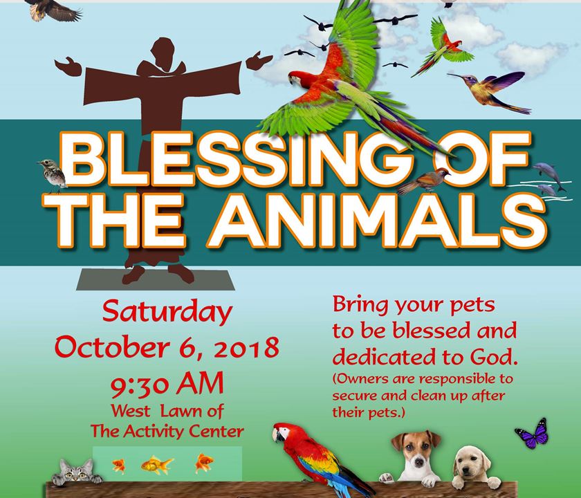 St. Mel Parish tweet media