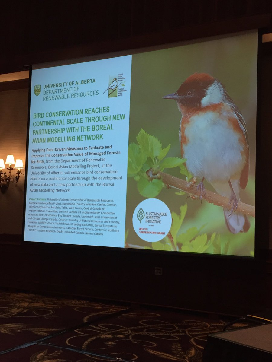 albertaforests's tweet photo. .⁦@sfiprogram⁩ has partnered with ⁦@UofAALES⁩ ⁦@fRIresearch⁩ and other organizations on research that will benefit our environment. #sustainability https://t.co/161lEfSr3A