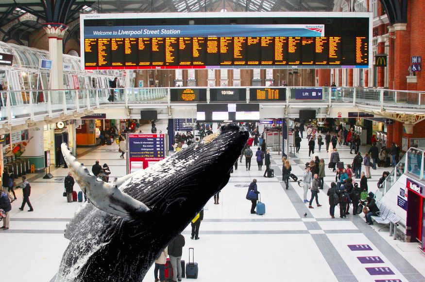 Liverpool Street whale-way station: huge humpback to be installed at transport hub bit.ly/2ORtApH