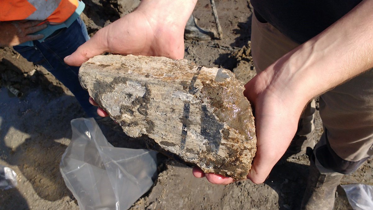 Langs de Tjalmaweg (N206) in Valkenburg zijn unieke archeologische vondsten gedaan. Op 13 en 14 oktober kan je de locatie van de opgraving bezoeken. Wil jij een tour krijgen langs de opgegraven Romeinse weg en nederzetting? Meld je dan snel aan via bit.ly/2zzssBP