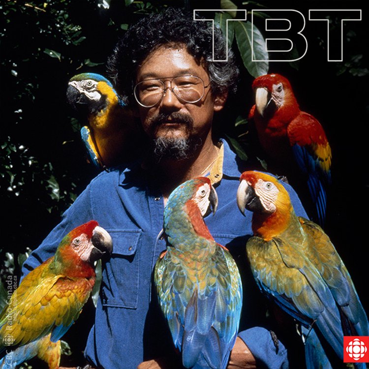 Cbc Perhaps The Secret To Eternal Youth Is To Surround Yourself With Natural Beauty Tbt Davidsuzuki Catch Equus Story Of The Horse First Riders On The Nature Of