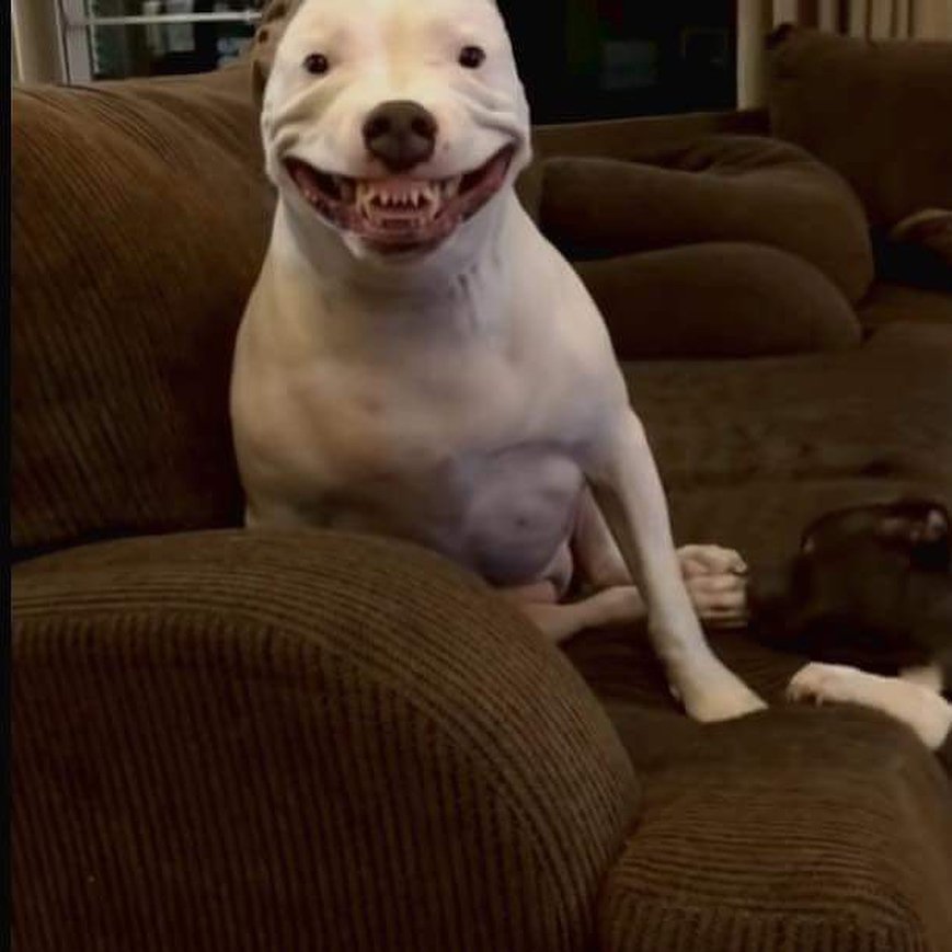 meyolatte's tweet photo. too be honest, whenever i post strange looking pictures im just seeking for attention, but don't worry i got ya back https://t.co/9WE04XakSK