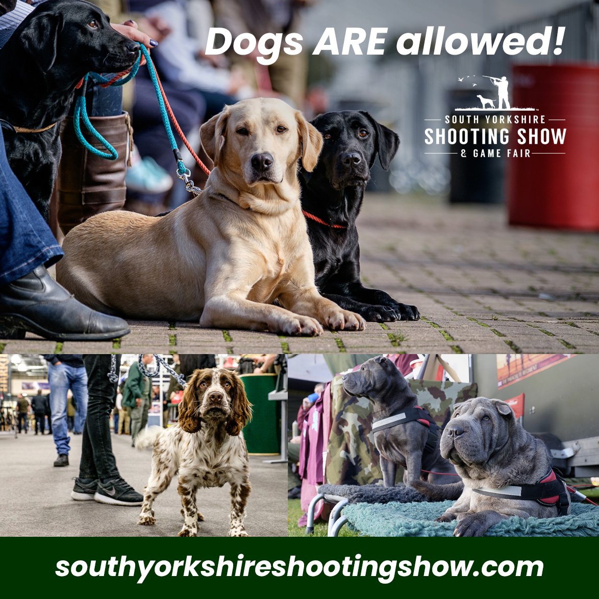 Remember folks - dogs ON LEADS are permitted on site. So bring the whole family down this weekend! Tickets &amp; info at: southyorkshireshootingshow.com