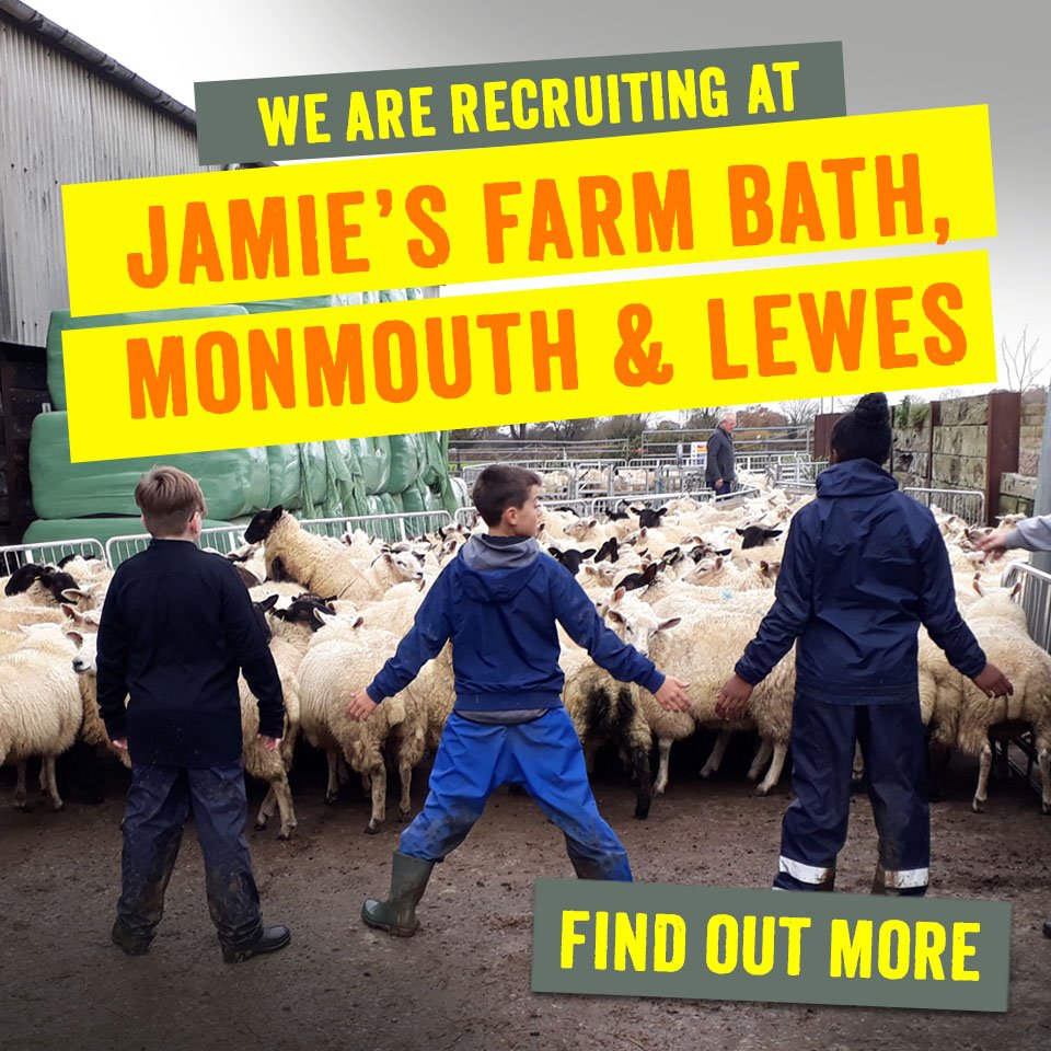Jamie's Farm tweet media