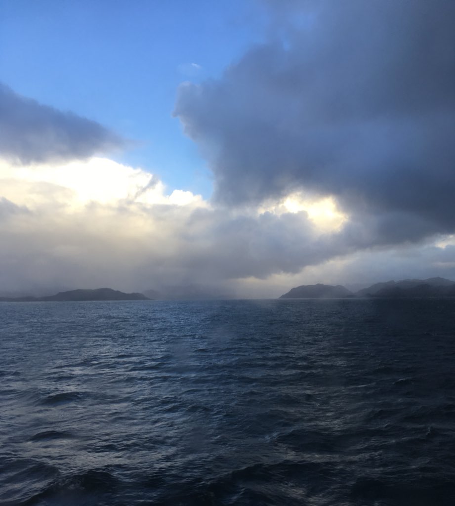 northbird_ellen's tweet photo. Sometimes the fjord is my favorite time of the day π #norway #tranquilizing https://t.co/z5z6HV0bxZ
