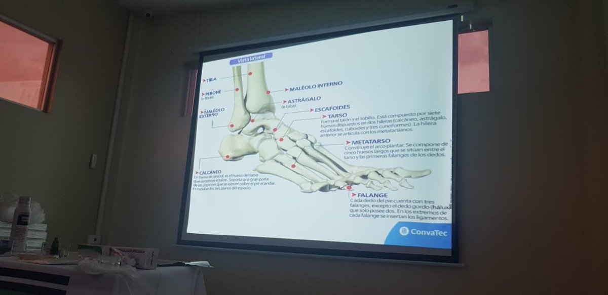InfoSepid's tweet photo. SEPID avanzamos!!! Cada día esten atentos a las Redes de #SEPID 👣

Todos los Profesionales que gracias a su interes y permanente deseo de Capacitacion Contamos con auditorio lleno, Gracias CONVATEC por el apoyo brindado 

SEPID...Salvando Piernas!!! https://t.co/oI1nRV02sk