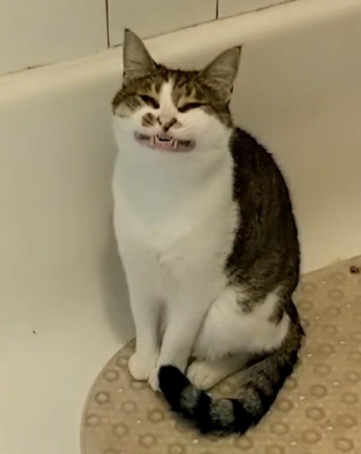 Actual photo of me trying to prepare for an unsuspected picture https://t.co/iLGjB6ZINb