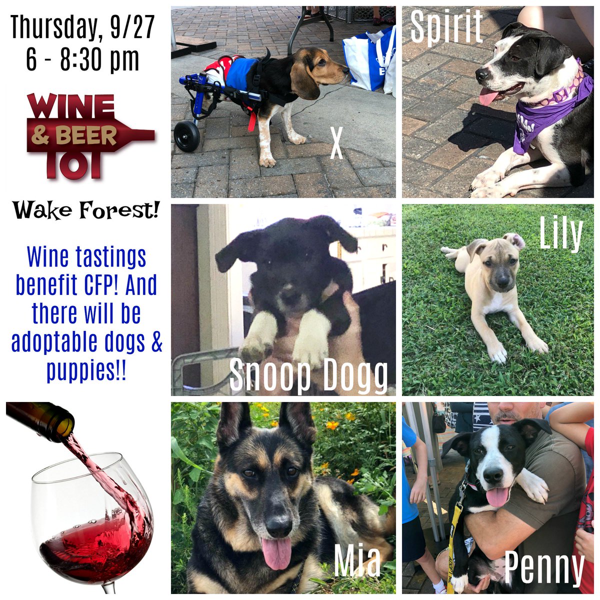 Cause for Paws of NC tweet media