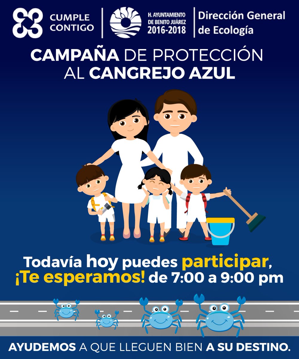 Ecología Cancún tweet media
